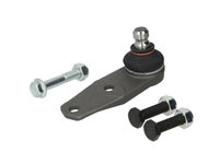 PIVOT Fata Dreapta/Stanga RENAULT MEGANE I Coach (DA0/1_) TRW MOTO JBJ197 1996 1997 1998 1999 2000 2001 2002 2003