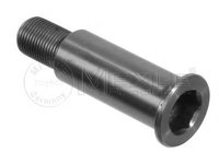 Pivot lagar,rola de tensionare MERCEDES-BENZ limuzina (W124), MERCEDES-BENZ KOMBI Break (S124), MERCEDES-BENZ S-CLASS limuzina (W140) - MEYLE 014 020