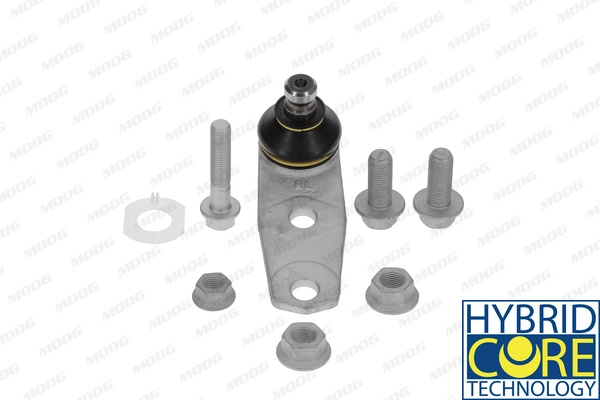 Pivot Moog RENAULT SCÉNIC I microbus (JA0/1_, FA0_) 1999-2003 - RE-BJ-0811