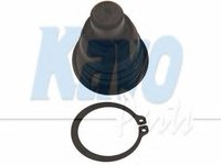 Pivot NISSAN MURANO (Z50), NISSAN DUALIS (J10, JJ10), NISSAN X-TRAIL (T31) - KAVO PARTS SBJ-6537