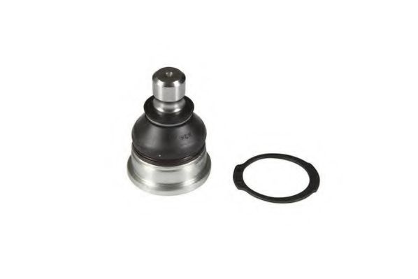 Pivot SUZUKI SWIFT III (MZ, EZ) (2005 - 2016) MOOG SZ-BJ-5080