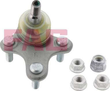 Pivot VW BEETLE (5C1, 5C2), Hatchback, 04.2011 - 0