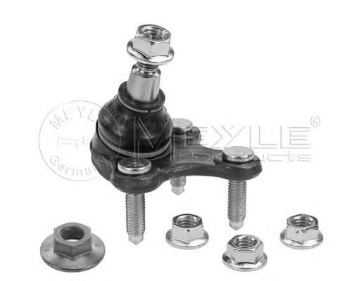Pivot VW PASSAT Variant 3C5 MEYLE 1160100017