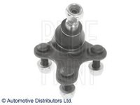 Pivot VW TOURAN (1T1, 1T2), VW GOLF PLUS (5M1, 521), VW VENTO V combi (1K5) - BLUE PRINT ADV188602