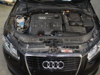 Plafon interior Audi A3 8P 2011 sportback facelift CFG 2.0 tdi