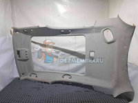 Plafon Skoda Roomster (5) [Fabr 2006-2015] OEM