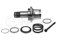 Planetara completa FORD Galaxy Mk1 (WGR) MPV (An fabricatie 04.2000 - 05.2006, 115 - 130 CP, Diesel) - OEM - MEYLE ORIGINAL GERMANY: 1004980244|100 498 0244 - LIVRARE DIN STOC in 24 ore!!!