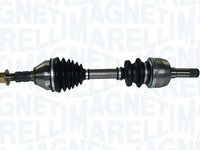 Planetara MAGNETI MARELLI 302004190191