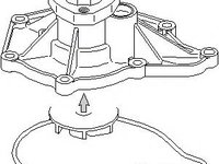 Pompa apa AUDI A8 limuzina (4E_), AUDI A6 limuzina (4F2, C6), AUDI A6 Avant (4F5, C6) - TOPRAN 113 150