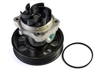 POMPA APA FIAT QUBO (225_) 1.3 D Multijet (225CXB1A, 225AXB1A, 225CXB11, 225AXB11,... 1.3 D Multijet (225AXE1A, 225CXE1A, 225AXH1A, 225AXL1A,... 75cp 95cp THERMOTEC D1F074TT 2008