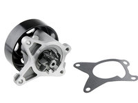 POMPA APA, NISSAN QASHQAI 2.0 07-, X-TRAIL 2.0 07-, TIIDA 1.8 07-, RENAULT LAGUNA 2.0 07-, MEGANE III 2.0 09-, FLUENCE 2.0 10-