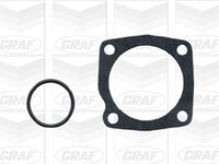 Pompa apa PA880 GRAF pentru Fiat Palio Fiat Punto Fiat Strada Fiat Albea Fiat Petra Fiat Siena