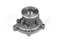 Pompa apa SMART FORFOUR (454), MITSUBISHI MIRAGE VI (Z3_A, Z2_A), MERCEDES-BENZ A-CLASS (W169) - MEYLE 013 220 0008