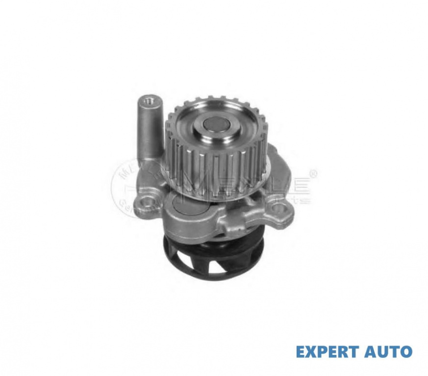 Pompa apa Volkswagen VW MULTIVAN Mk V (7HM, 7HN, 7HF, 7EF, 7EM, 7EN) 2003-2016 #2 06A121011C