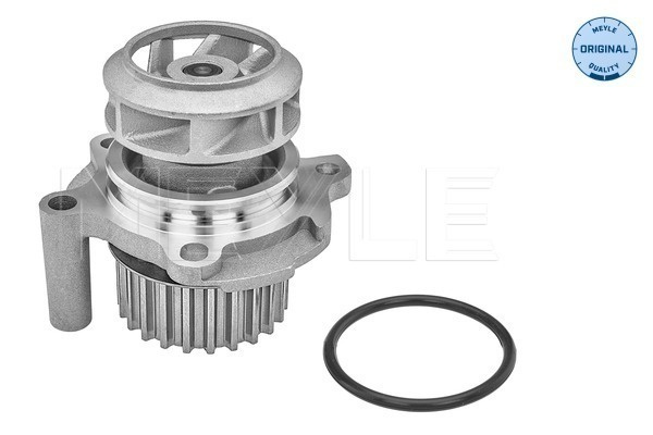 Pompa apa # Vw Multivan 2003 2004 2005 2006 2007 2008 2009 2010 2011 2012 2013 2014 2015 # 113 012 0027 # MEYLE