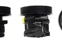 Pompa hidraulica, sistem de directie FORD FIESTA Mk IV (JA_, JB_), MAZDA SOHO III (JASM, JBSM), FORD PUMA (EC_) - ELSTOCK 15-0130