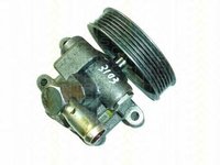 Pompa hidraulica, sistem de directie FORD FIESTA Mk IV (JA_, JB_), MAZDA SOHO III (JASM, JBSM), FORD KA (RB_) - TRISCAN 8515 16618