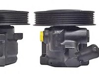 Pompa hidraulica, sistem de directie FORD FIESTA Mk IV (JA_, JB_), FORD PUMA (EC_) - ELSTOCK 15-0039