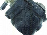 Pompa hidraulica, sistem de directie IVECO DAILY I caroserie inchisa/combi, IVECO DAILY I platou / sasiu - TRISCAN 8515 15610