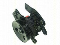 Pompa hidraulica, sistem de directie NISSAN PRIMERA (P10), NISSAN PRIMERA Hatchback (P10), NISSAN PRIMERA Break (W10) - TRISCAN 8515 14604