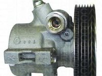 Pompa hidraulica, sistem de directie PEUGEOT 306 hatchback (7A, 7C, N3, N5), PEUGEOT 306 limuzina (7B, N3, N5), Citroen XSARA (N1) - TRISCAN 8515 286