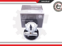 Pompa servodirectiei ; RENAULT Clio II Kangoo Laguna I Megane I Megane Scenic ; 7700419117