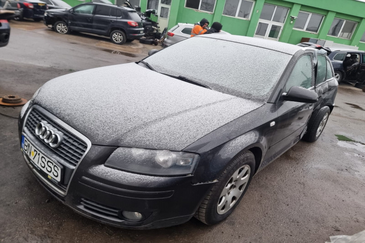 Pompa tandem Audi A3 8P 2007 hatchback 1