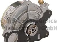 Pompa vacuum frana VW AMAROK 2H S1B PIERBURG 704303050