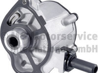 Pompa vacuum,sistem de franare (702551260 PIERBURG) BMW,FREIGHTLINER,JEEP,MERCEDES-BENZ,MERCEDES-BENZ (FJDA)