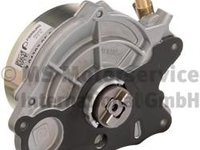 Pompa vacuum,sistem de franare VW CRAFTER 30-35 bus (2E_), VW CRAFTER 30-50 caroserie (2E_), VW CRAFTER 30-50 platou / sasiu (2F_) - PIERBURG 7.04303.