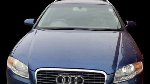 Prag stanga ornament exterior Audi A4 B7 [2004 - 2008] Avant wagon 5-usi 2.0 multitronic (131 hp) 2.0 - ALT