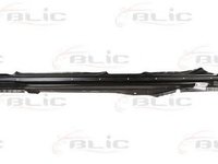 Prag VW PASSAT 3B2 BLIC 6505069539011P