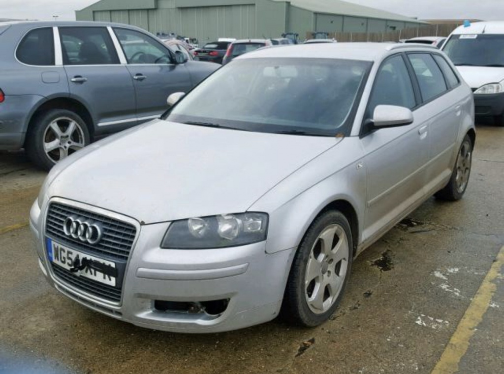 Proiectoare Audi A3 8P 2005 Hatchback 2.0 TDI