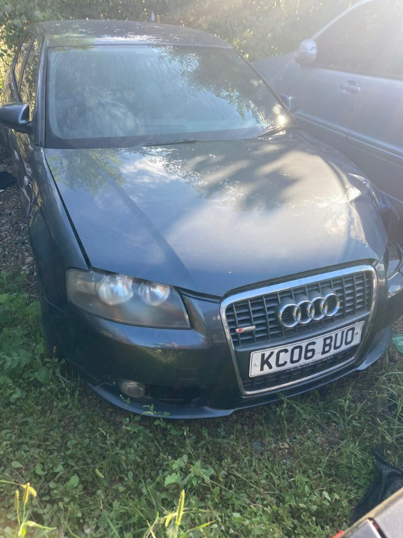Proiectoare Audi A3 8P 2007 HATCHBACK 2.