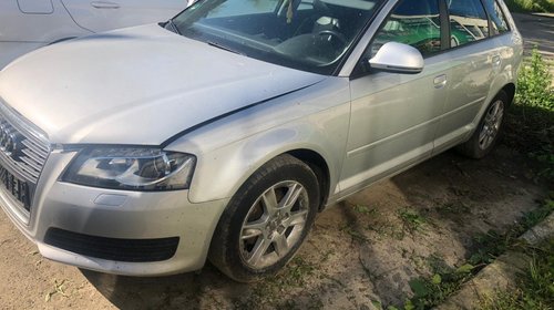 Punte spate Audi A3 8P 2010 Hatchback 1.6 TDI