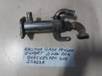 Racitor gaze 9645689780/D04 22463R / Peugeot Expert / 2.0 hdi / RHK