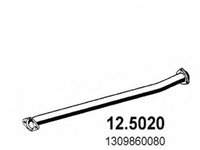 Racord evacuare FIAT DUCATO caroserie (230L) (1994 - 2002) ASSO 12.5020