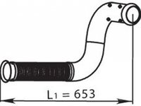Racord evacuare RENAULT TRUCKS Premium DINEX 66121