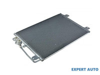 Radiator ac Renault SCENIC I (JA0/1_) 1999-2003 #1 77 00 425 843