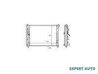 Radiator apa Chevrolet CAPTIVA (C100, C140) 2006-2016 #2 105044