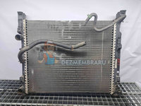 Radiator apa Renault Kangoo 2 Maxi (F61) [Fabr 2008-2022] 8200455801 1.5 DCI K9K808