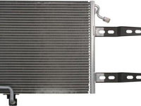 Radiator Clima Aer Conditionat VW POLO 6N1 THERMOTEC KTT110227