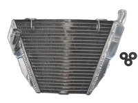 Radiator DUCATI STREETFIGHTER 848/1099 2009-2015 4RIDE RAD-609