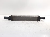 Radiator intercooler, Audi A6 (4F2, C6) 2.0 TDI, CAH (idi:607521)