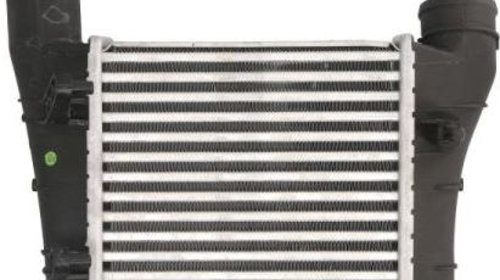 Radiator intercooler AUDI A8 4E THERMOTEC DAA