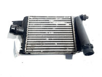 Radiator intercooler, cod 144965154R, Dacia Lodgy, 1.5 DCI, K9K846 (pr:110747)