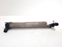 Radiator intercooler, cod 8200880552, Dacia Duster, 1.5 DCI, K9K898, 4X4 (id:584135)