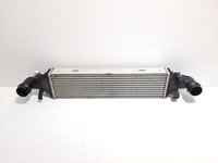 Radiator intercooler, cod A2045000200, Mercedes Clasa E T-Model (S212), 2.2 CDI, OM651924 (idi:484386)