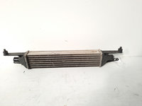 Radiator intercooler, Fiat Grande Punto (199), 1.3 M-Jet, 199A3000 (id:581973)