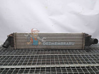 Radiator intercooler Ford C-Max 2 [Fabr 2010-2015] BV61-9L440-AC 2.0 TDCI C20DD0